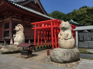 写真:屋島寺の狸と鳥居