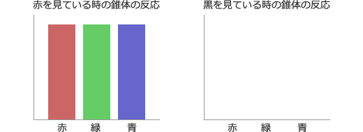 白と黒を見た時の錐体の反応を図示