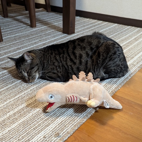 猫のびーたとシン・ゴジラ第2形態のぬいぐるみ